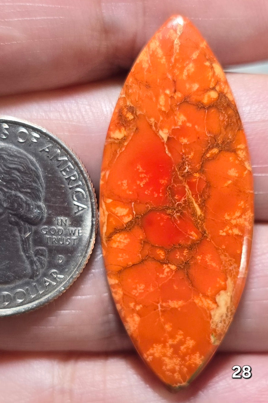 #28 Sea Sediment Jasper
