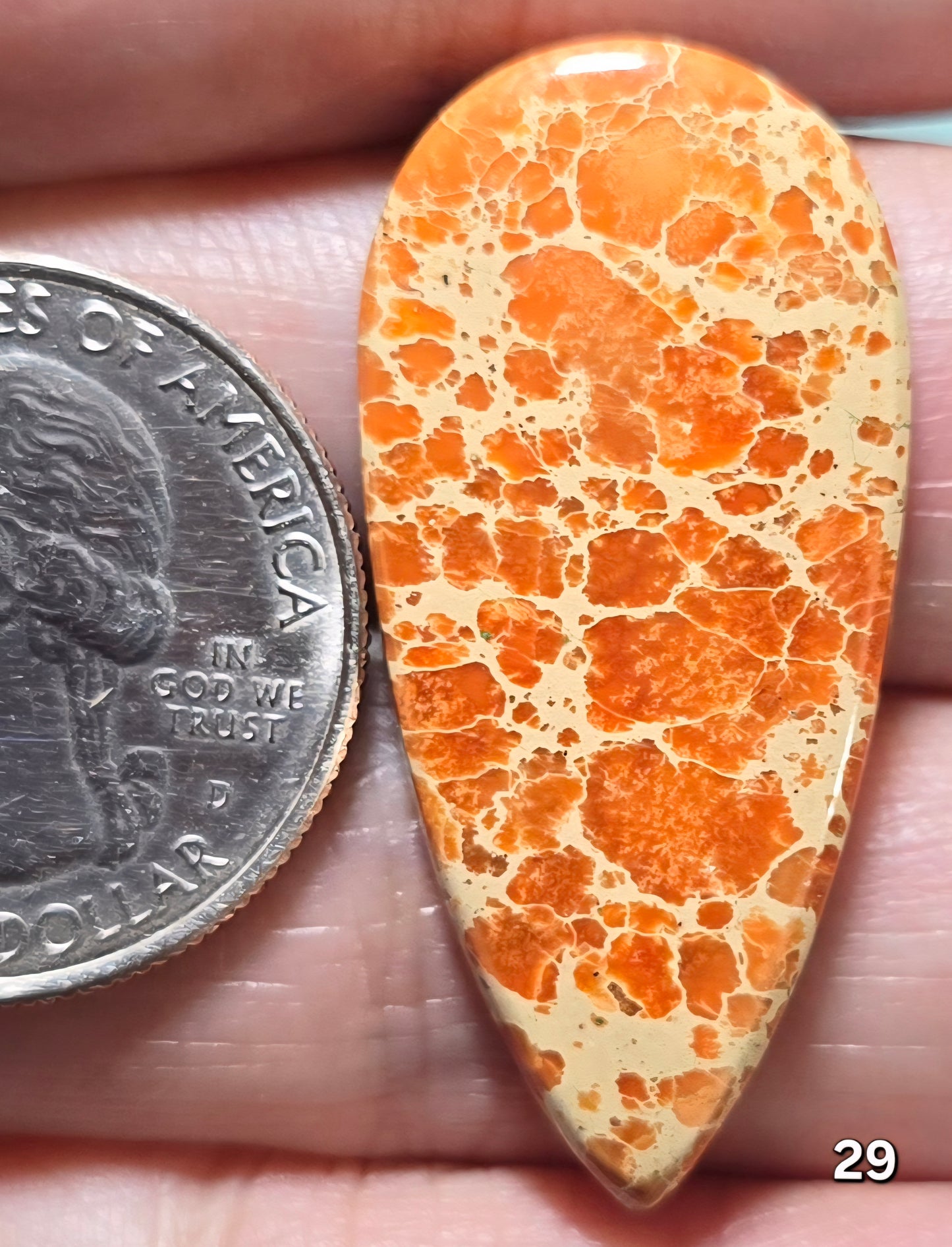 #29 Sea Sediment Jasper