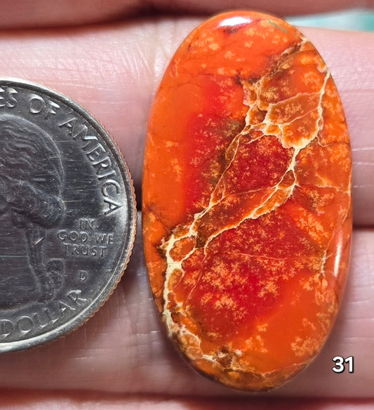 #31 Sea Sediment Jasper