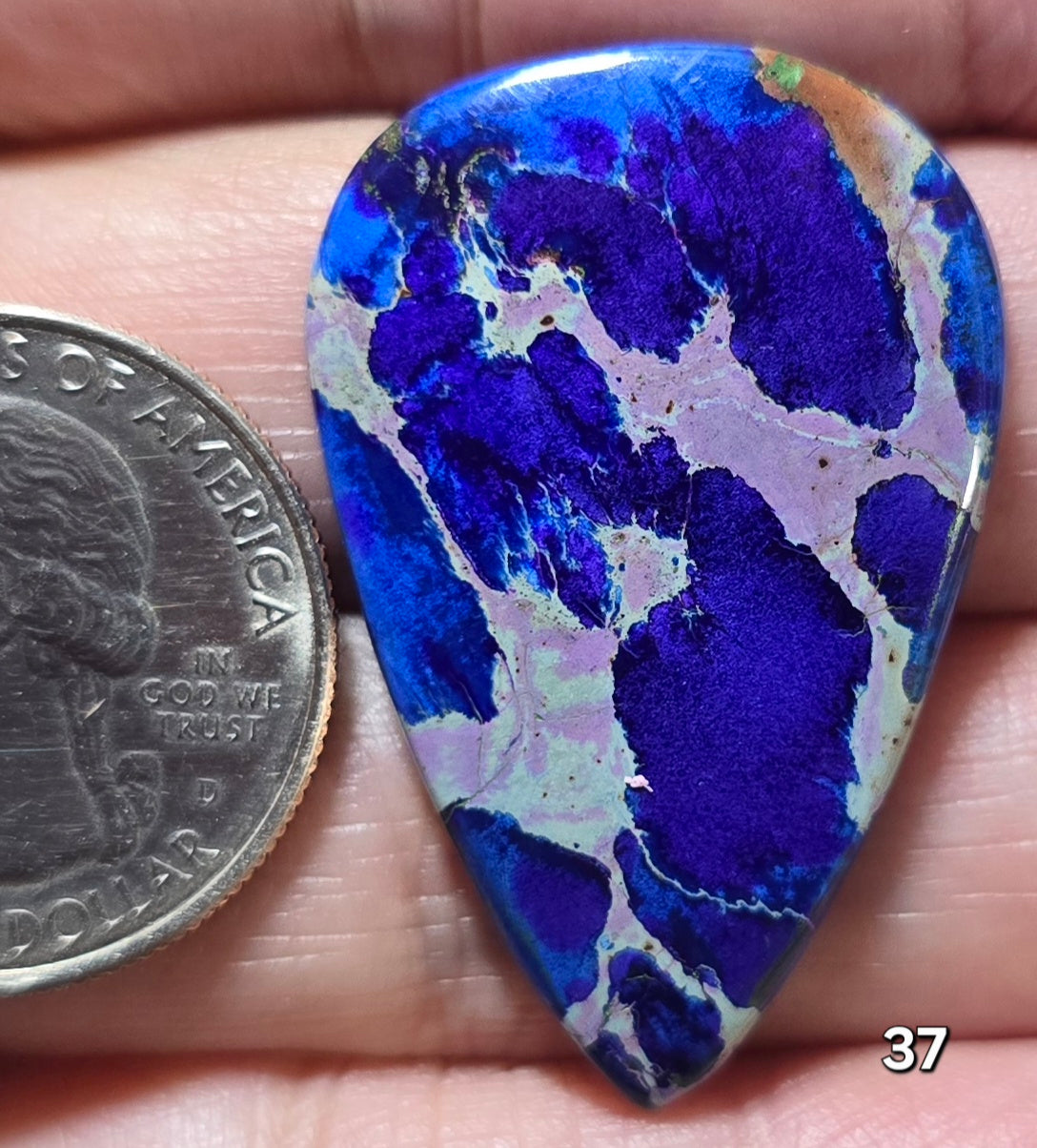 #37 Sea Sediment Jasper