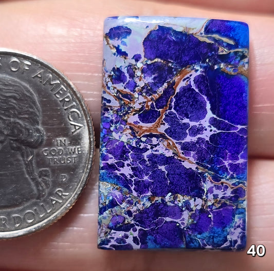 #40 Sea Sediment Jasper