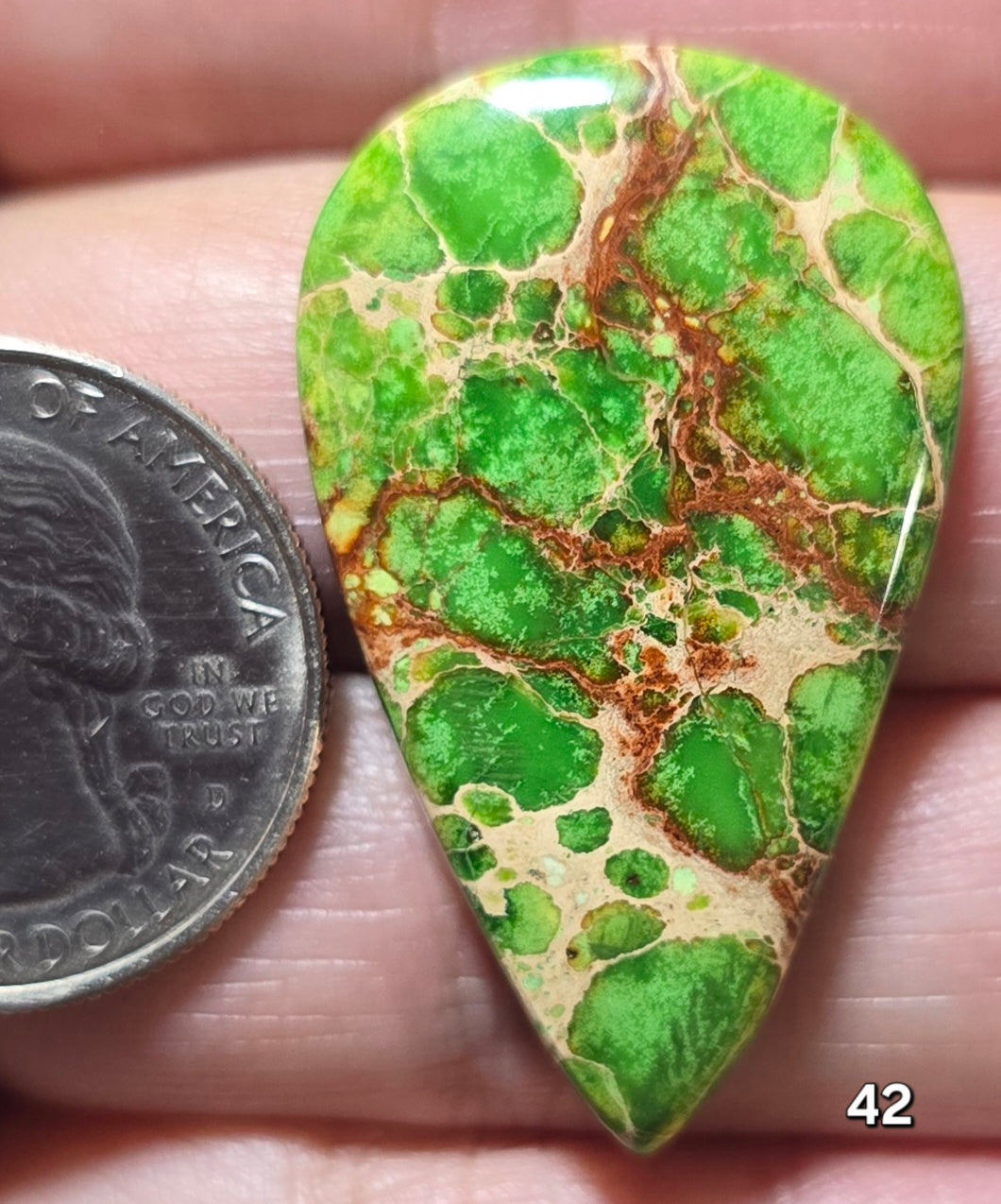#42 Sea Sediment Jasper