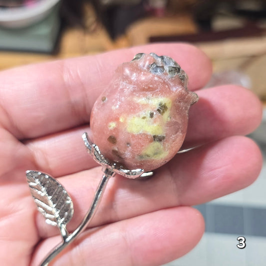#3 Peach Blossom Jasper Rose