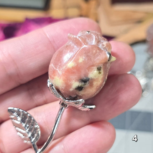 #4 Peach Blossom Jasper Rose