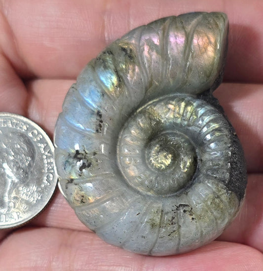 Labradorite Ammonite Carving