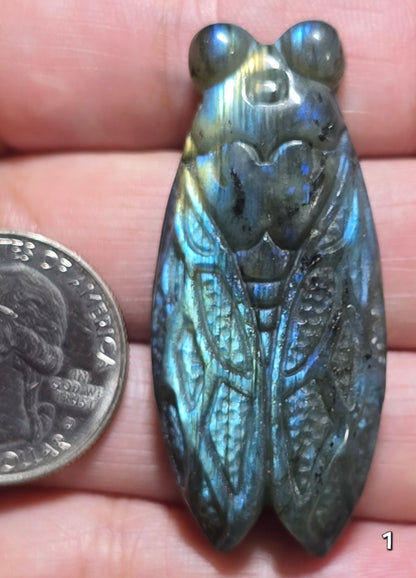 #1 Labradorite Cicada Carving