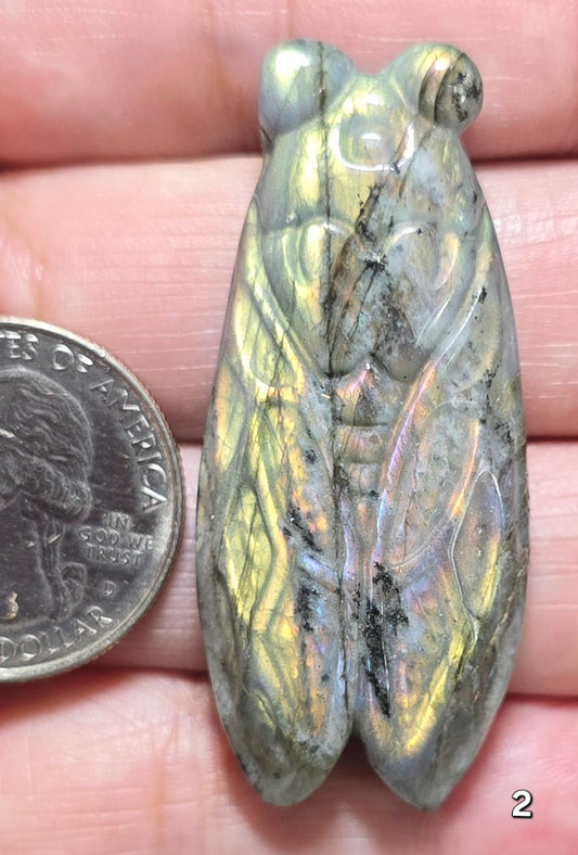 #2 Labradorite Cicada Carving