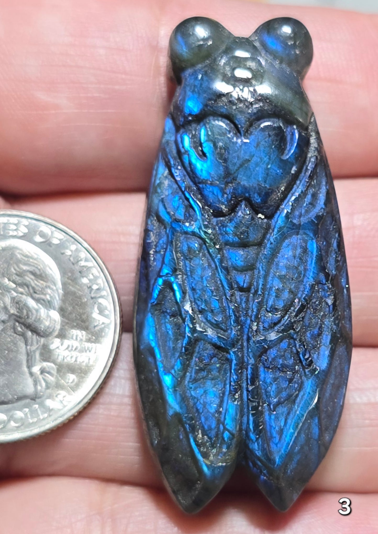 #3 Labradorite Cicada Carving