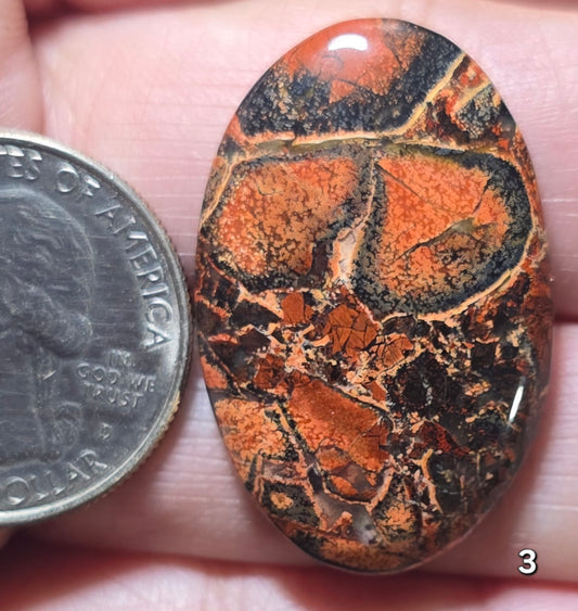 #3 Red Rainbow Jasper