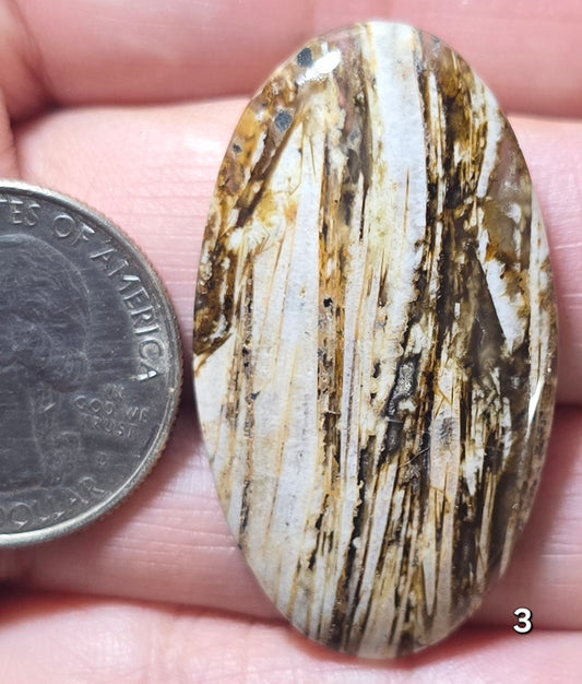 #3 Lattice Agate