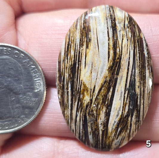 #5 Lattice Agate