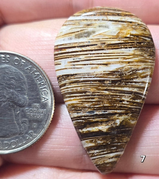 #7 Lattice Agate