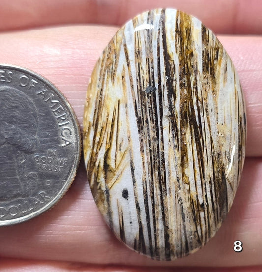 #8 Lattice Agate