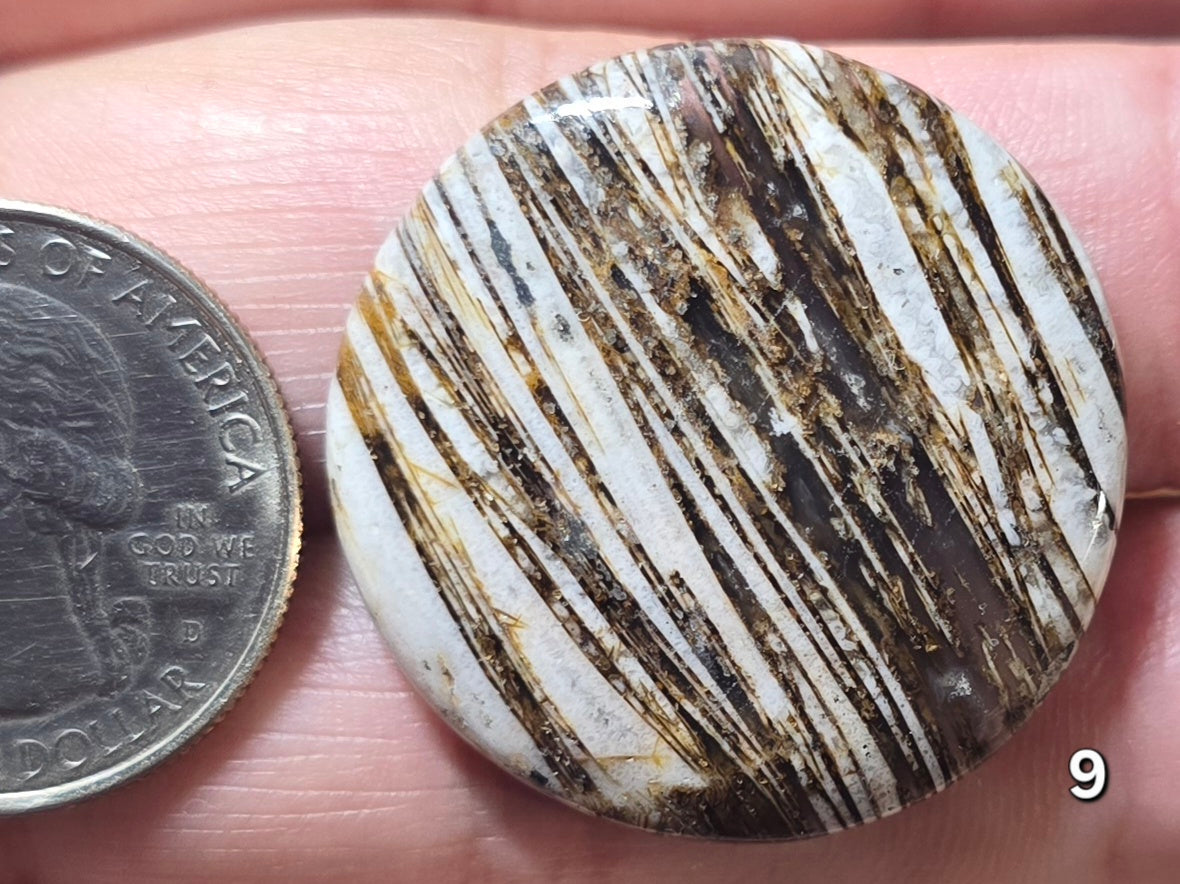 #9 Lattice Agate