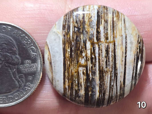 #10 Lattice Agate