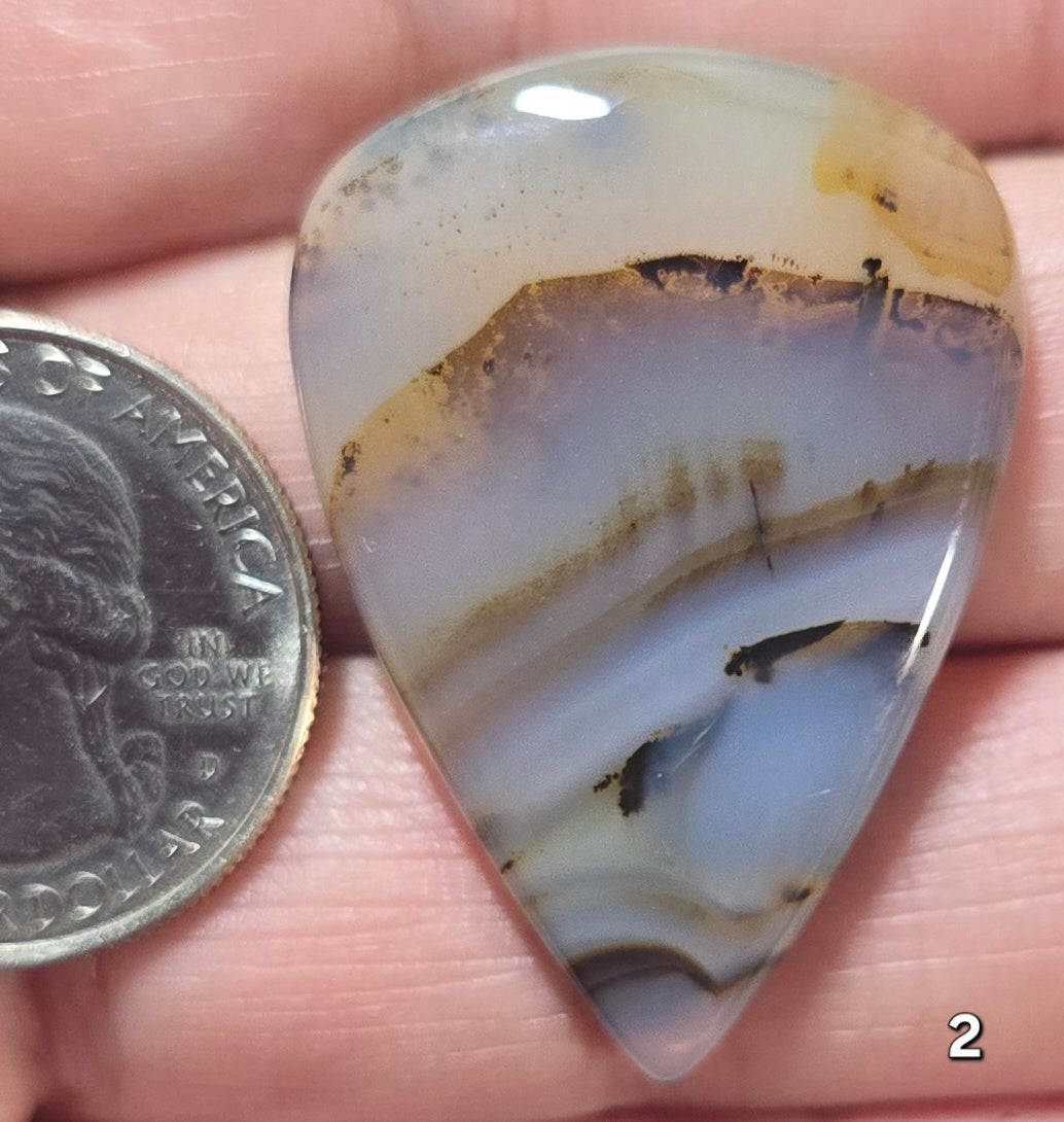 #2 Montana Agate