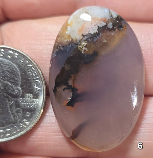 #6 Montana Agate