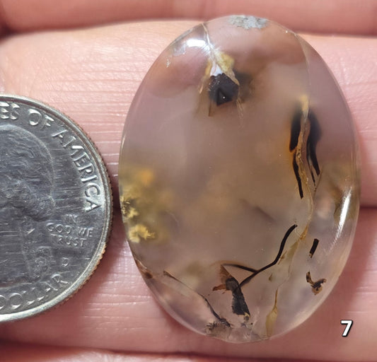 #7 Montana Agate