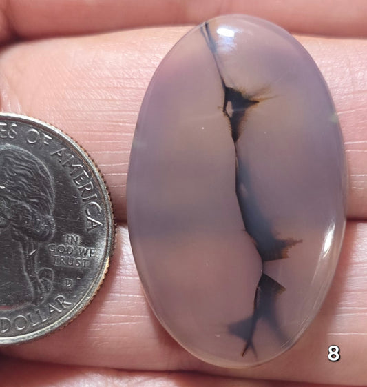 #8 Montana Agate