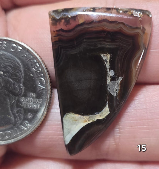 #15 Montana Agate