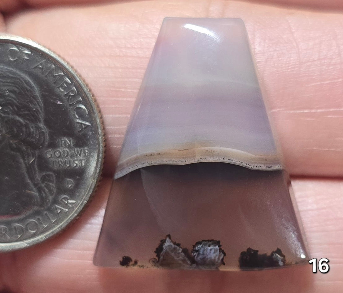 #16 Montana Agate