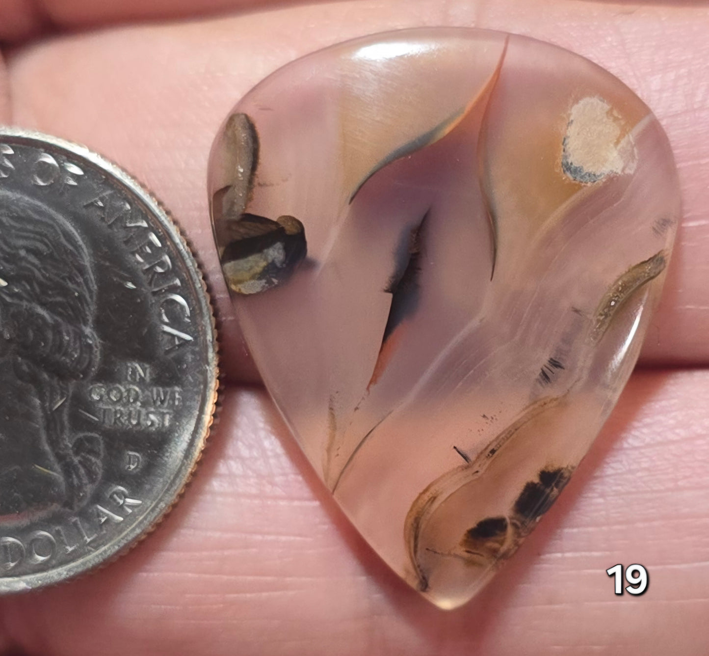#19 Montana Agate