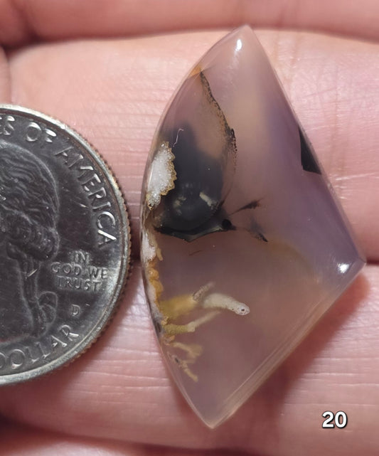 #20 Montana Agate
