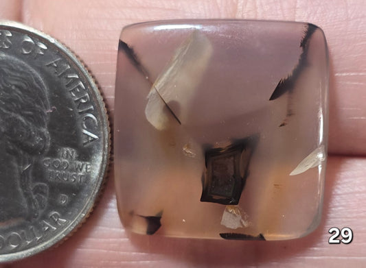 #29 Montana Agate