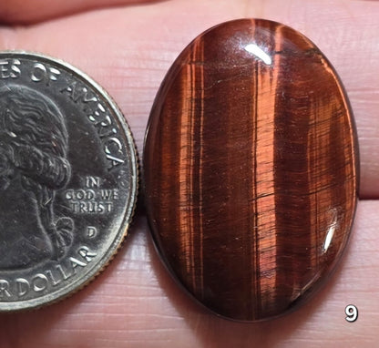 #9 Red Tiger Eye