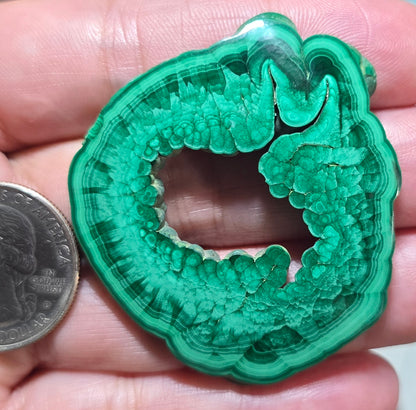 Malachite Window Druzy Slice