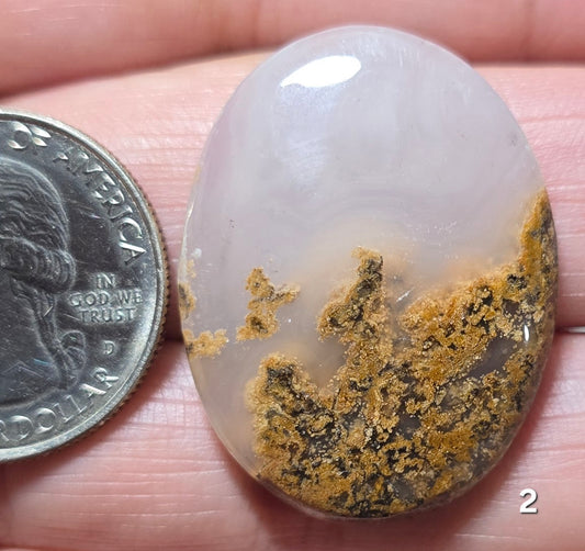 #2 Brown Moss Agate