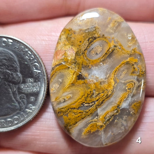 #4 Brown Moss Agate