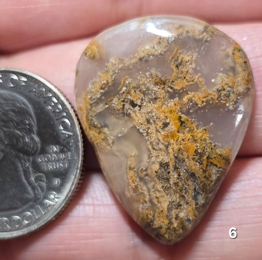 #6 Brown Moss Agate