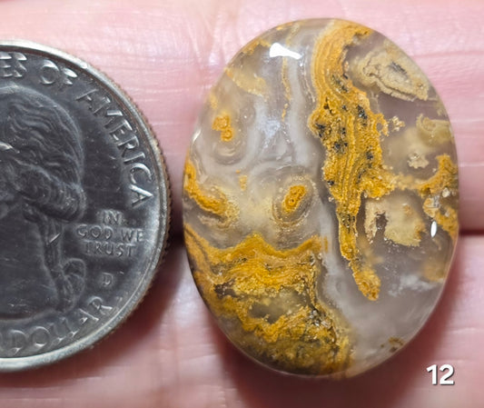 #12 Brown Moss Agate