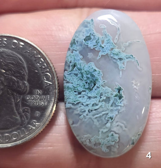 #4 Blue Moss Agate