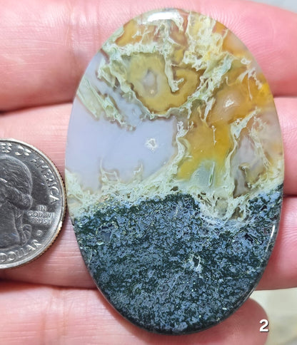 #2 Indonesian Moss Agate - Statement Cabochon