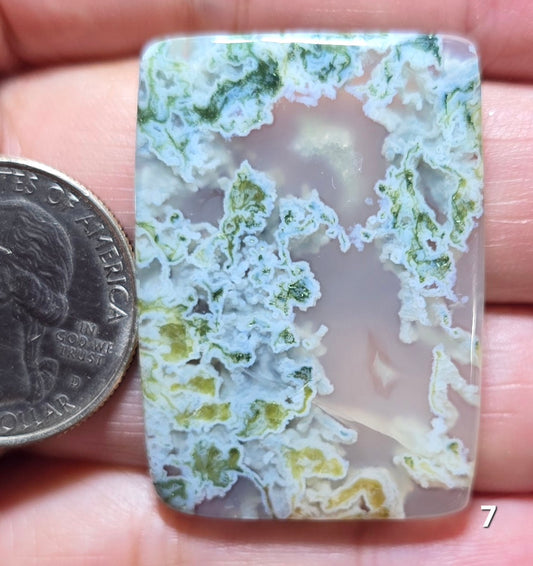 #7 Indonesian Moss Agate