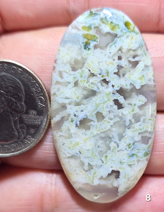 #8 Indonesian Moss Agate
