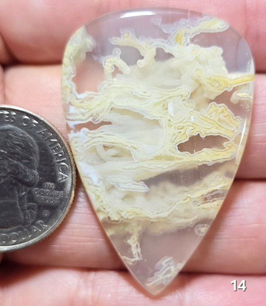 #14 Indonesian Moss Agate