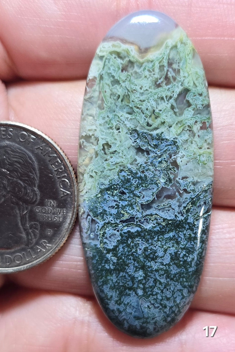 #17 Indonesian Moss Agate