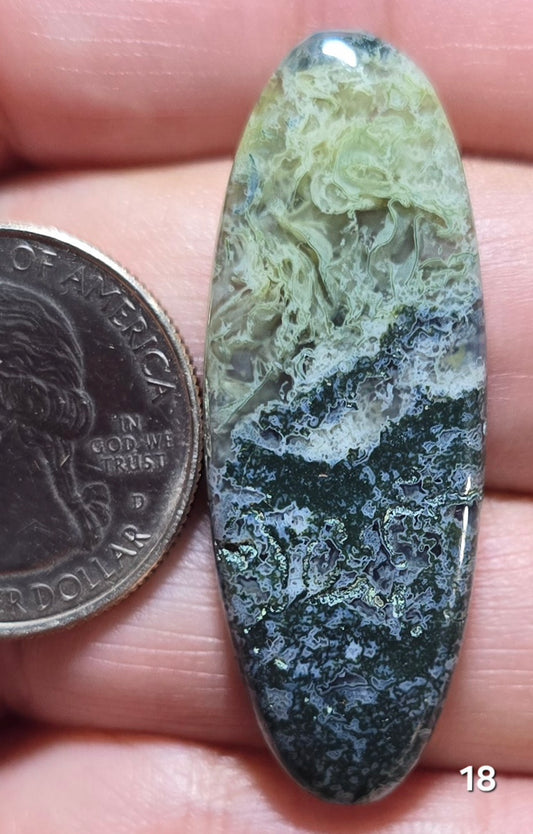 #18 Indonesian Moss Agate