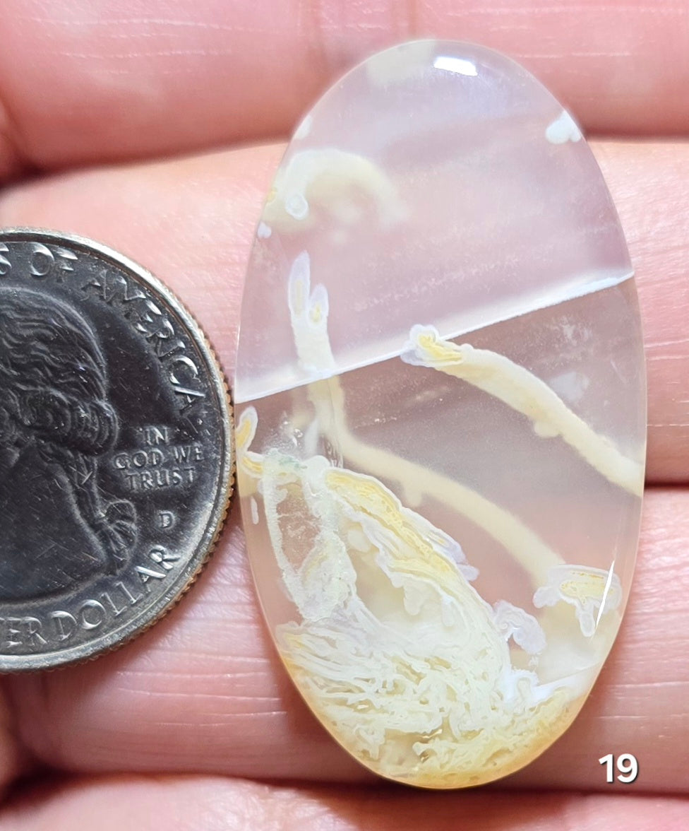 #19 Indonesian Moss Agate