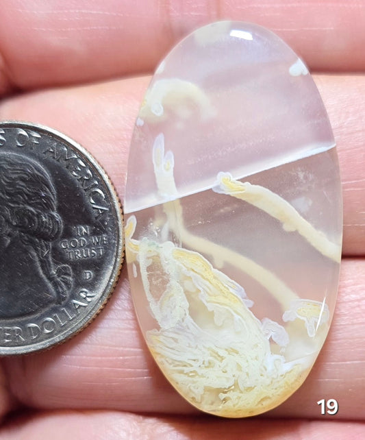 #19 Indonesian Moss Agate