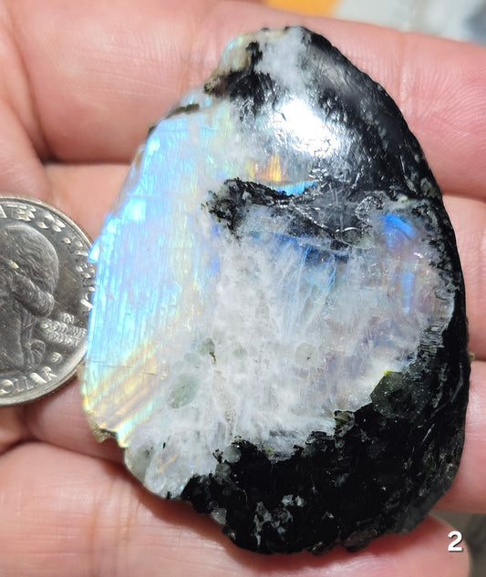 #2 Rainbow Moonstone Slice w/Black Tourmaline