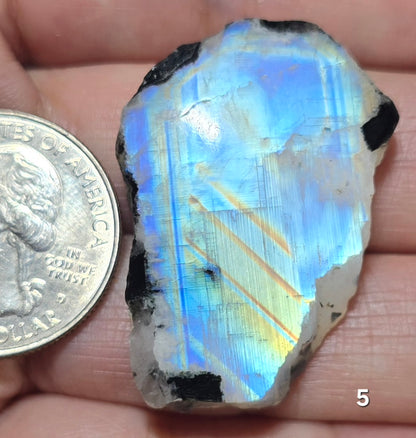#5 Rainbow Moonstone Slice w/Black Tourmaline