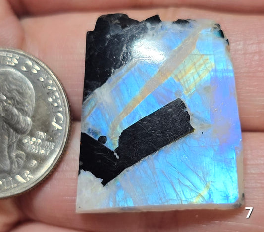 #7 Rainbow Moonstone Slice w/Black Tourmaline