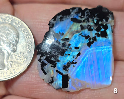 #8 Rainbow Moonstone Slice w/Black Tourmaline