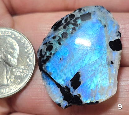 #9 Rainbow Moonstone Slice w/Black Tourmaline