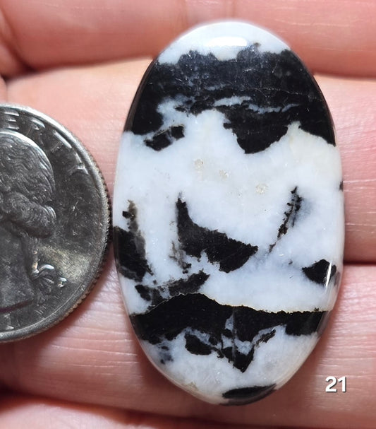 #21 Zebra Jasper