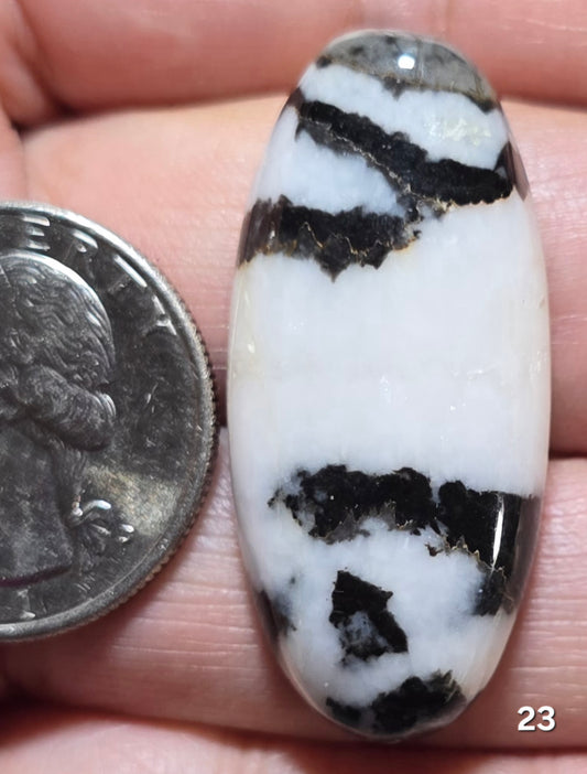 #23 Zebra Jasper